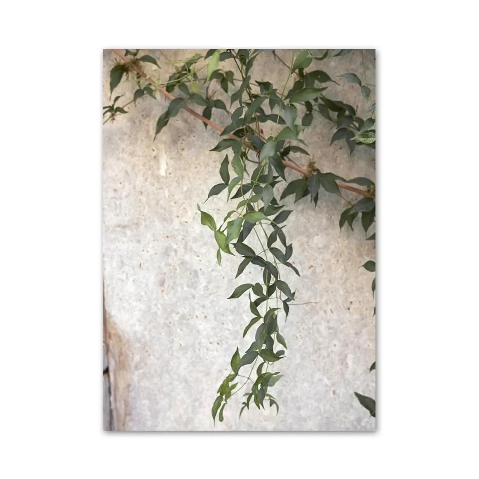 Xenite Girls G Wall Art Canvas Prints Beige Buildin Stairs Irl Shapes Plants Wall Art Canvas Paintin Nordic Posters And Prints Wall Pictures For Livin Room Decor(,30X40cm)