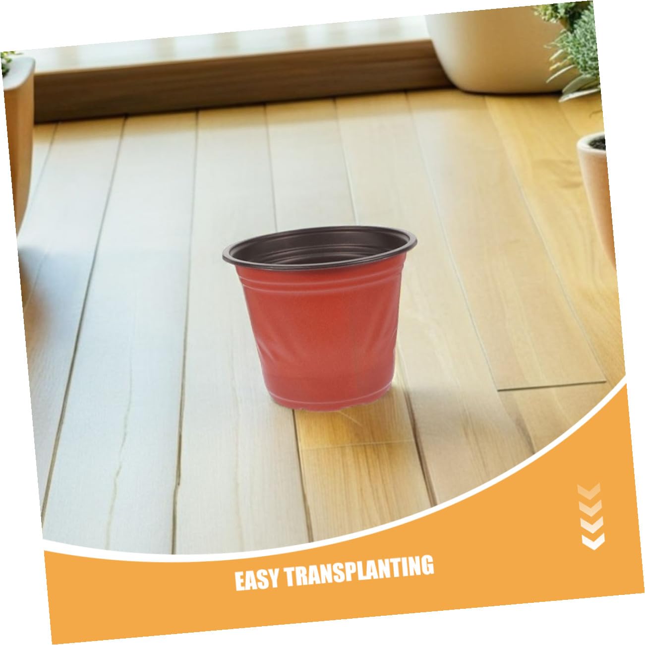 60 pièces Lot de Pots de Semis Ronds Plastique PP à Drainage Pots Légers pour Succulentes et Jardinage Intérieur Extérieur pour Plantation et Bouturage