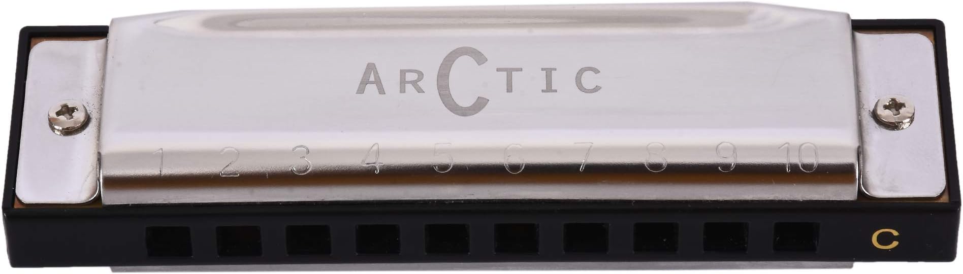 Arctic Key C 10 Hole Diatonic Blues Mouth Organ Harmonica For Professional Player, Silver