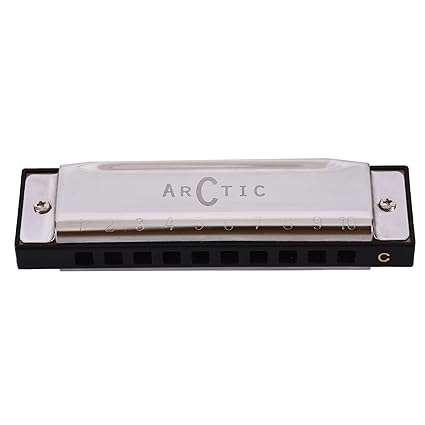 ARCTIC AR-HA10 Key C 10 Hole Diatonic Blues Mouth Organ Harmonica for Professional Player, Silver