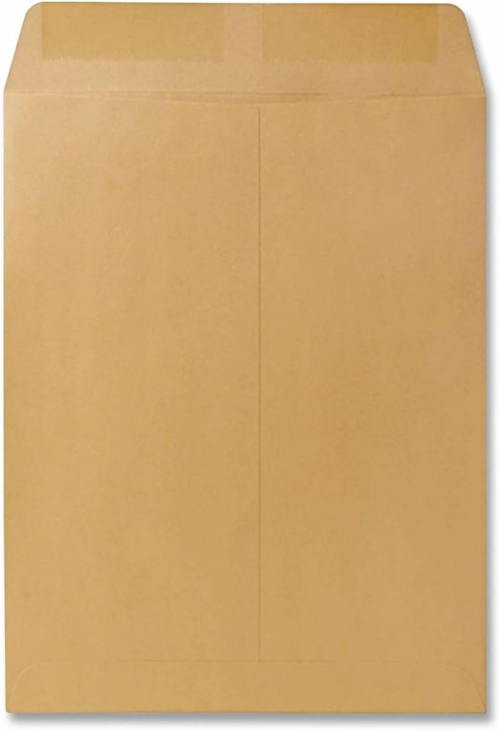 Quality Park Catalog Mailing Envelopes, 9 1/2 x 12 1/2 Envelopes, Gummed, Heavy 28 lb. Kraft Paper, For Mailing, Organizing and Storage, 250 per Box (QUA41565)