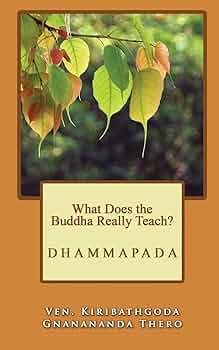 洋書 the Dhammapada the way of the buddha The Dhammapada The Way Of The Buddha - By OSHO (12 Volume