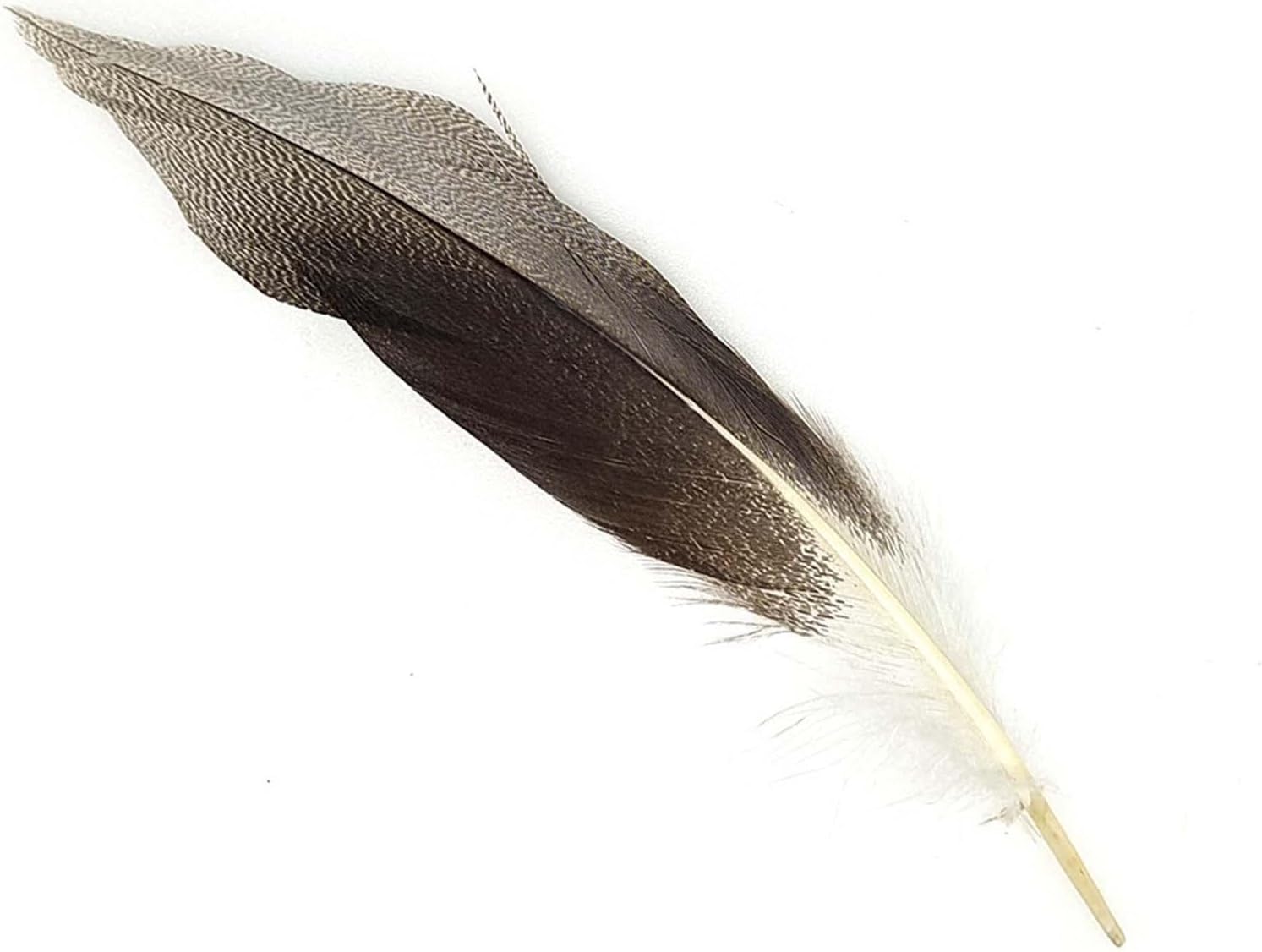 Lot De 50 Plumes De Paon Pour Travaux Manuels, Décoration De Paon Naturel, Accessoires De Décoration, 40-45 Cm