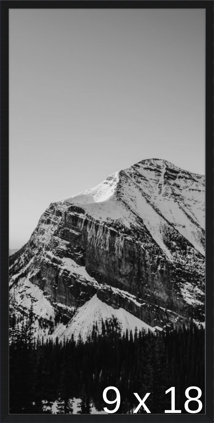 Frame It Easy 9 1/2 x 18 1/8 Satin Black Metal Frame (Ashford) 9.5x18.1 inches