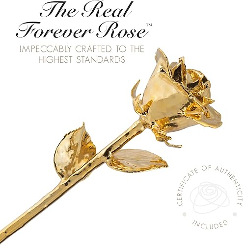 Miniatura 5 de Forever Rose Combo de dos rosas, rosas reales bañadas en oro de 24 quilates en jarrón acrílico, grabado en forma de corazón "I Love You", regalo de