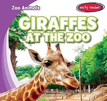 Giraffes at the Zoo