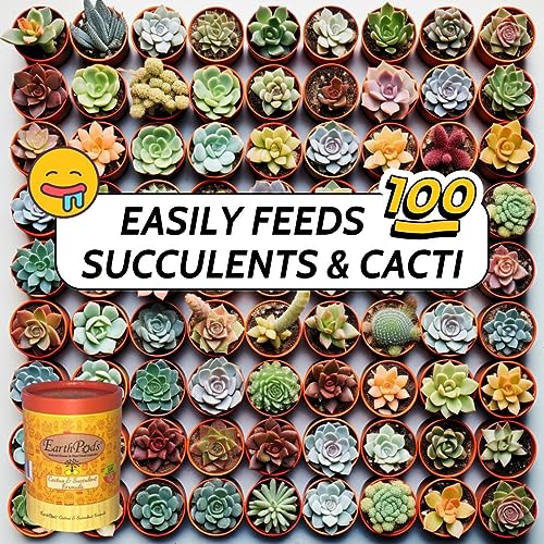 EarthPods® Fertilizante Orgánico para Cactus y Suculentas miniatura 3