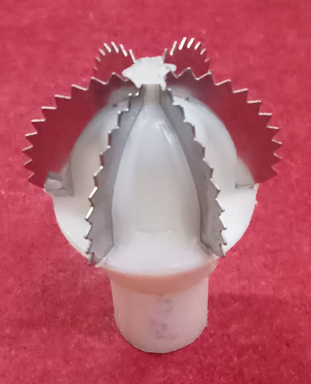 Generic Coconut Scraper, White, Metal, Plastic, Stainless Steel Blade, Plastic Handle, 9 cm x 3 cm-image-10