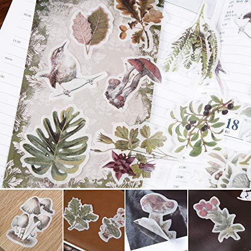 Vintage Ephemera Pack of 60, Tropical Plants Style Note Decoration Stickers Easy Self-adhesive Mushrooms Leaves Birds Flowers Wildflowers Butterflies for Scrapbook, Notebook, Journal, Card Making
