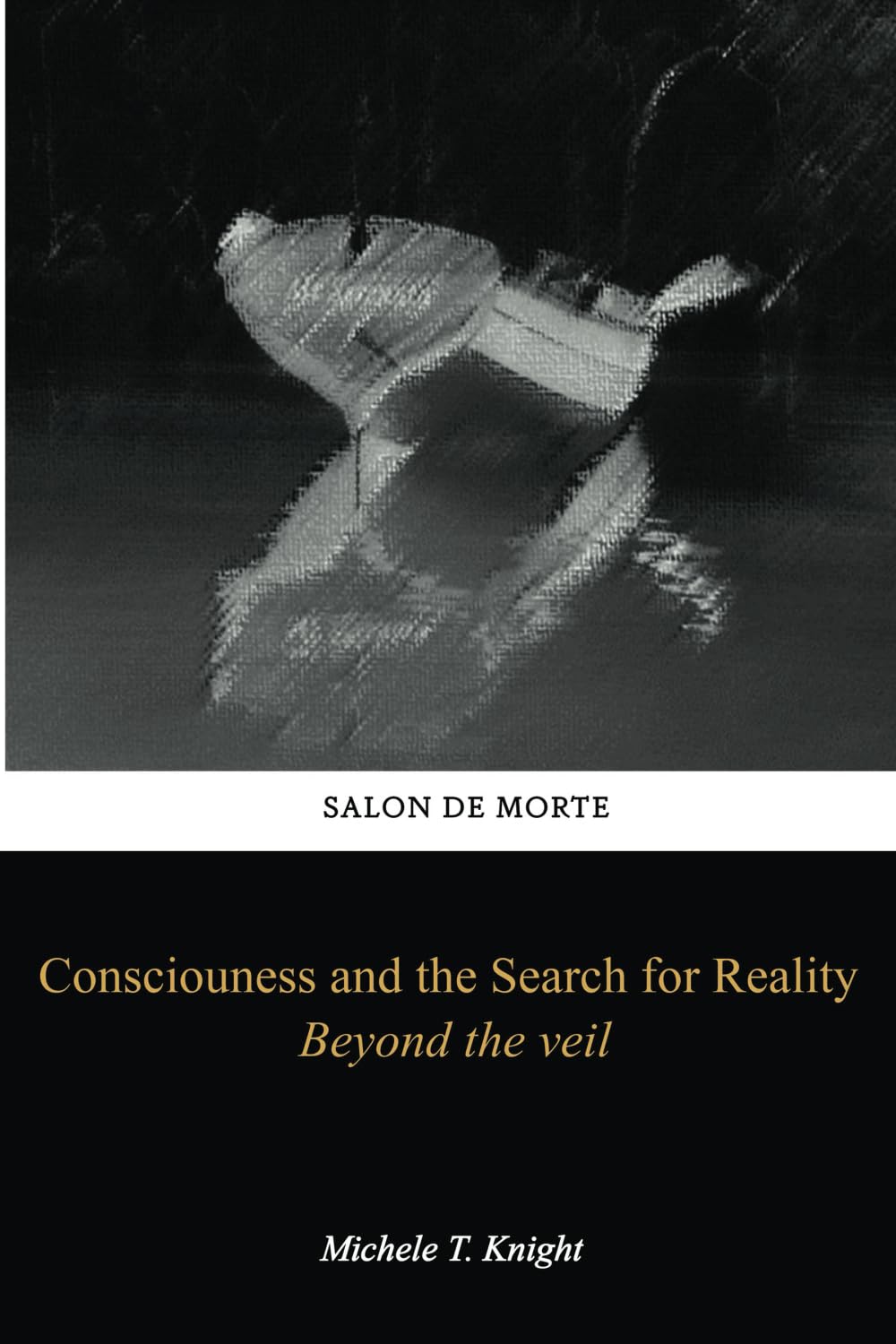 Consciousness and the Search for Reality: Beyond the veil