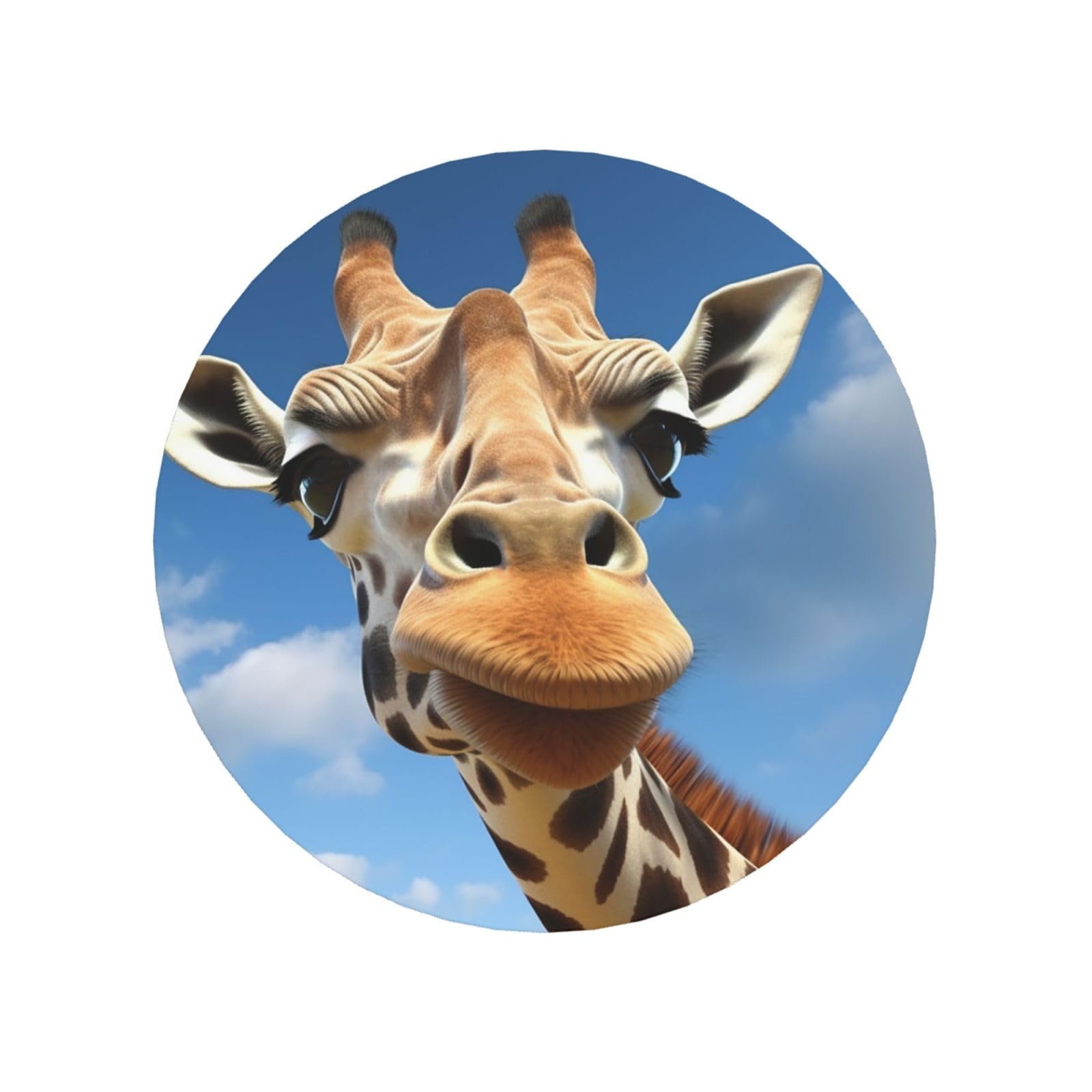 Funny Giraffe Fridge Magnets Cute Strong Refrigerator Magnets Fun Magnet for Locker Office Whiteboard Decor, Door Magnets Decorative Magnetic Stickers for Home Decor