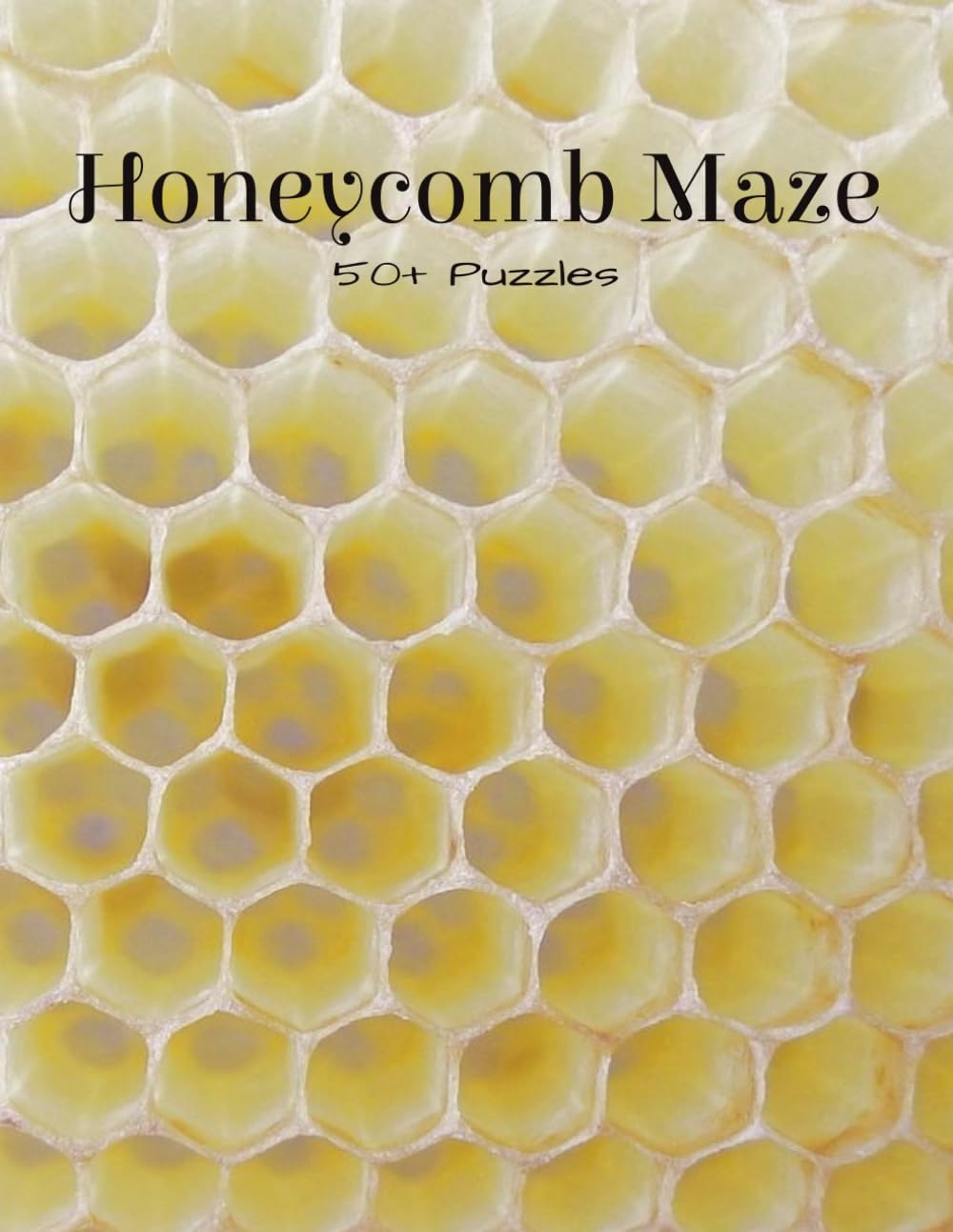 Honeycomb Maze Book: 50+ Different Puzzles | 8.5x11 inches | 120 pages | Great For All Ages
