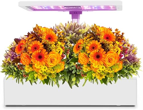 Sistema de cultivo hidropónico de 20 cápsulas, mini jardín interior con luz LED de cultivo, kit de cultivo de germinación de hierbas con sistema de