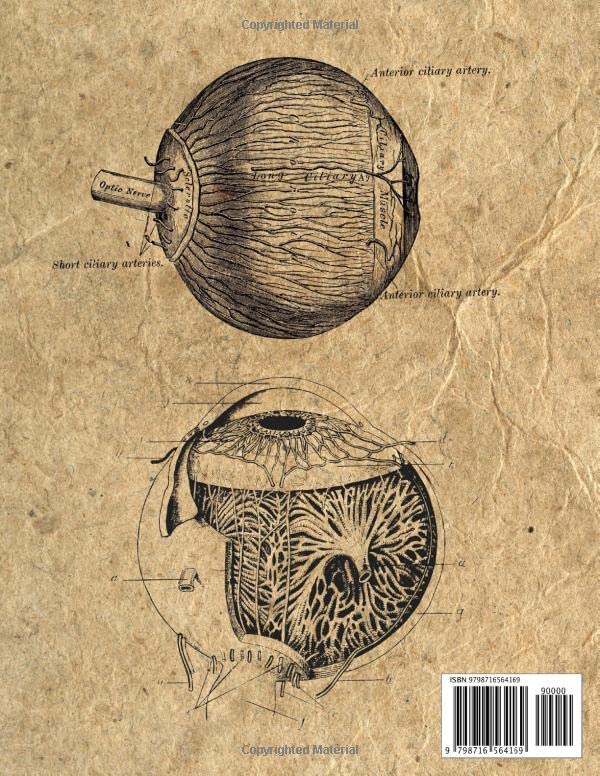 Ophthalmology Notebook: Vintage Anatomy - Eyes, 8.5"x11", 100 College Ruled Pages, Matte Cover - Image 2