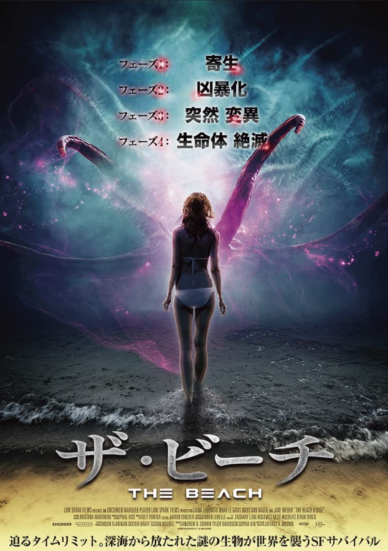 THE BEACH ザ・ビーチ 特別編 DVD Amazon.co.jp: ザ・ビーチ (特別編) [DVD] : レオナルド・ディカプリオ