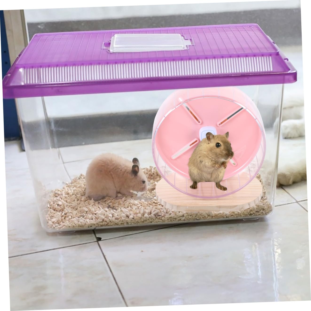 Abaodam Roue Silencieuse pour Hamster Et Chinchilla Accessoire Compact pour Cage Stable Et Décoratif pour Rat Et Hérisson