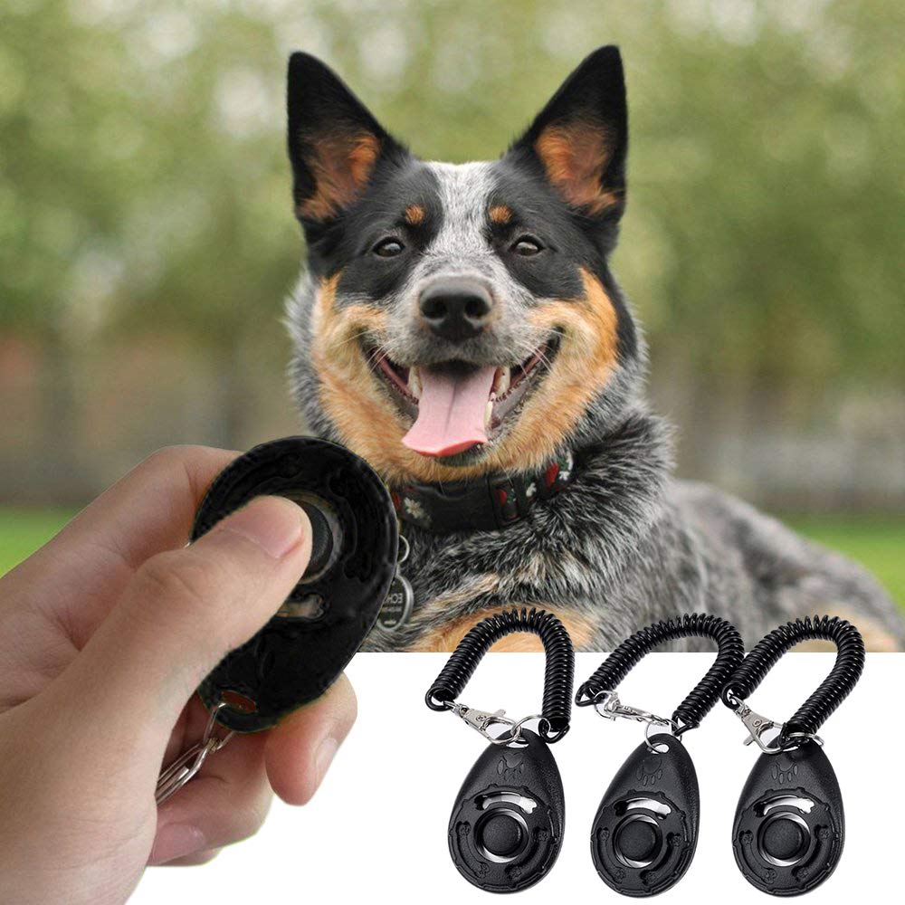 3 pezzi Clicker per Cani,Clicker Professionale con Bracciale a Molla per Educazione Cani, Nero