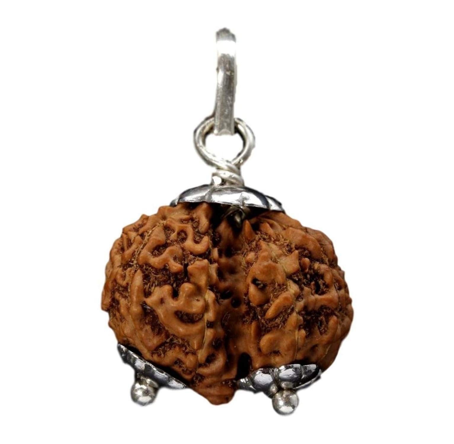 Amazon｜SitaRama ガウリーシャンカラ・ルドラークシャ・ビーズ