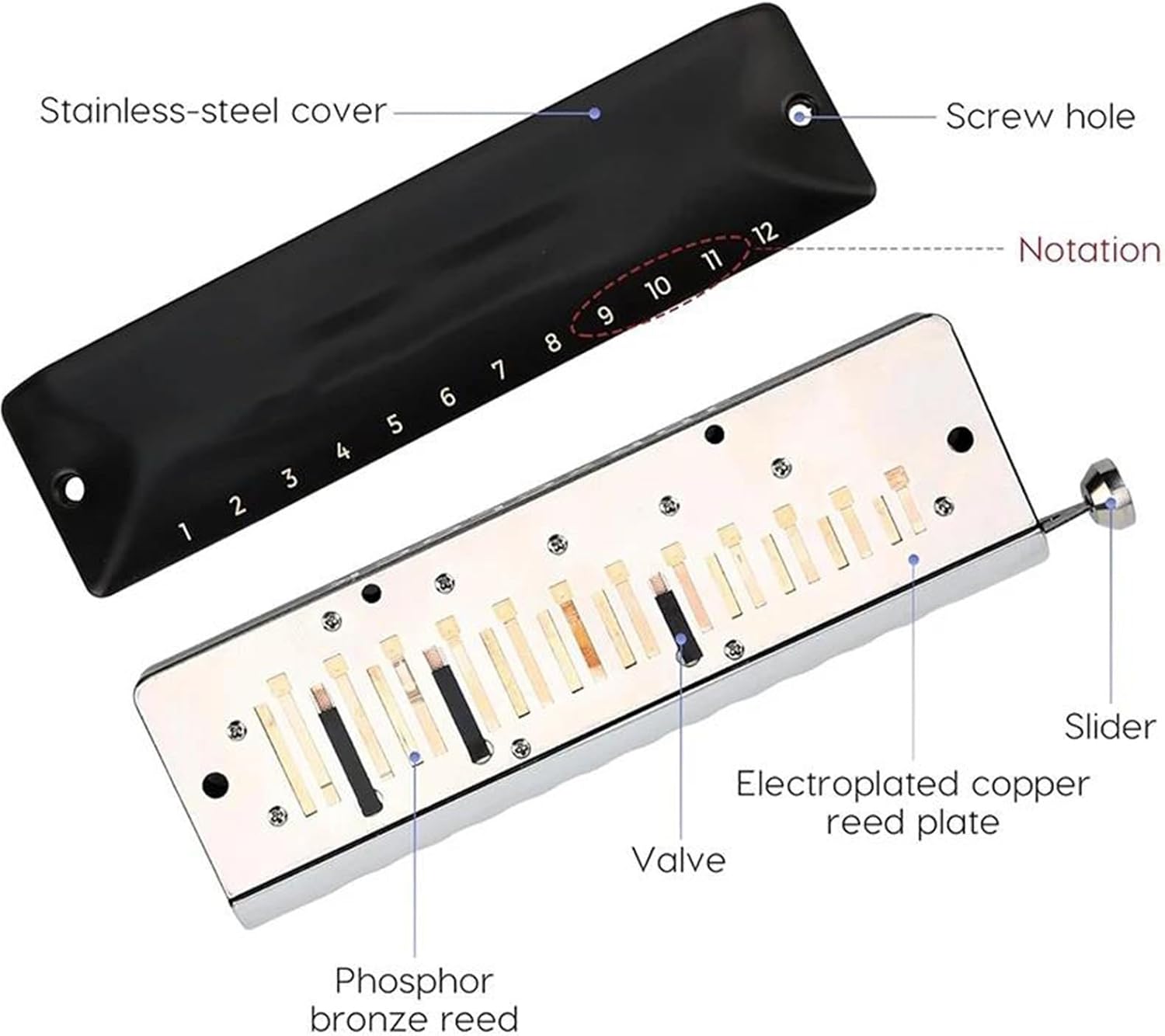 プロフェッショナルハーモニカ クロマチックハーモニカ Cキー 12穴 48トーン 簡単曲げ