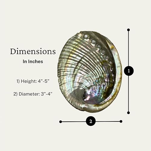 Miniatura 2 de NessaStores - Artesanía de playa pulida de concha marina de abulón rosa de 4 a 5 pulgadas #JC-011 (4 piezas)