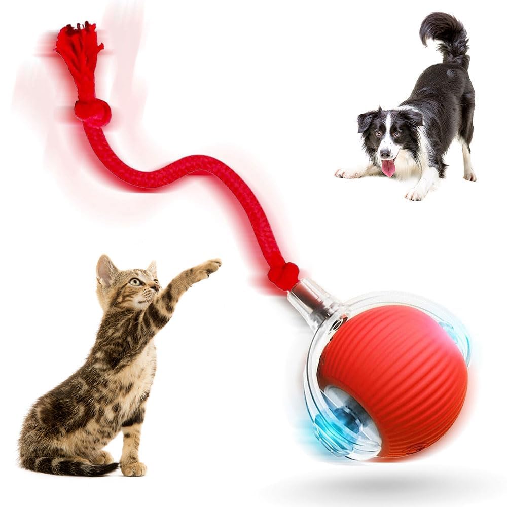 RUINXXT Interactive Cat Toys Balls for Indoor Cats 2023 New Interactive Rolling Dog Ball Motion Activated Cat Balls
