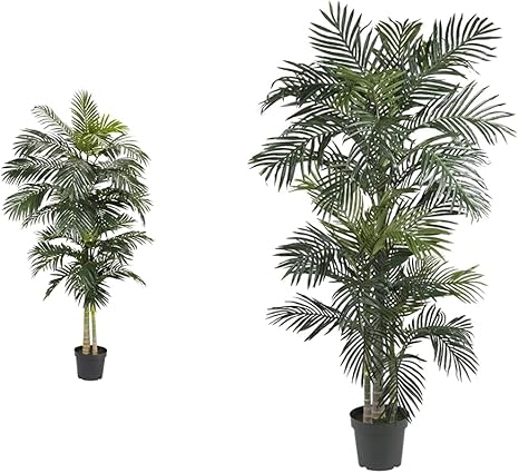 Amazon Com Nearly Natural 5326 8ft Golden Cane Palm Silk Tree Green 52 6 5ft Golden Cane Palm Silk Tree Green Everything Else Amazon Com Nearly Natural 5326 8ft Golden Cane Palm Silk Tree Green 52 6 5ft Golden Cane Palm Silk Tree Green Everything Else