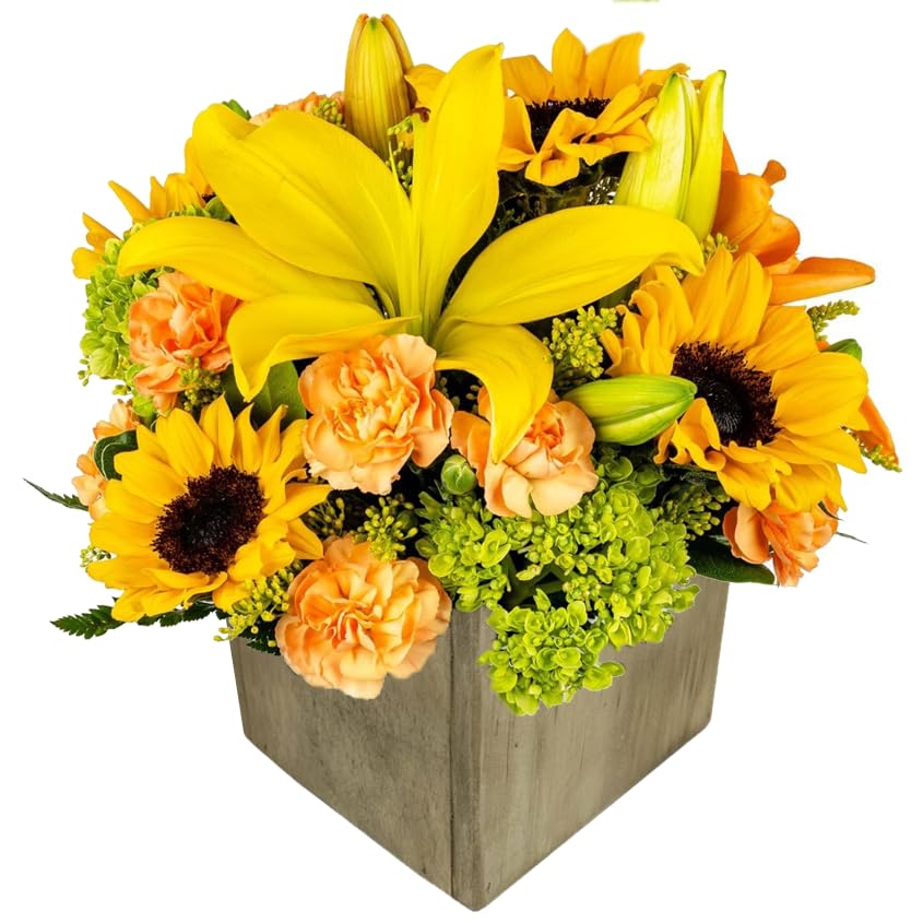 Sunny Day in Wooden Vase | Fresh Sunflowers, Yellow Aquabloom Arrangement | Arabella Bouquets | Flowers for Delivery, Graduation, Birthday, Congratulations, Tha