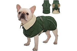 Kuoser Extra Warm Snowsuit for Small Dogs
