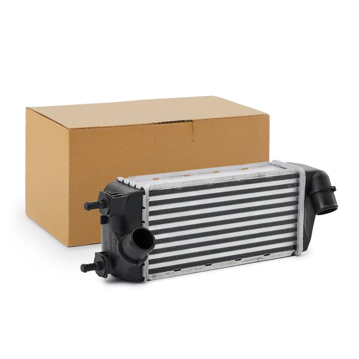 RIDEX 468I0252 Intercooler senza valvola EGR (ricircolo gas scarico) Compatibilità con FIAT 500 312