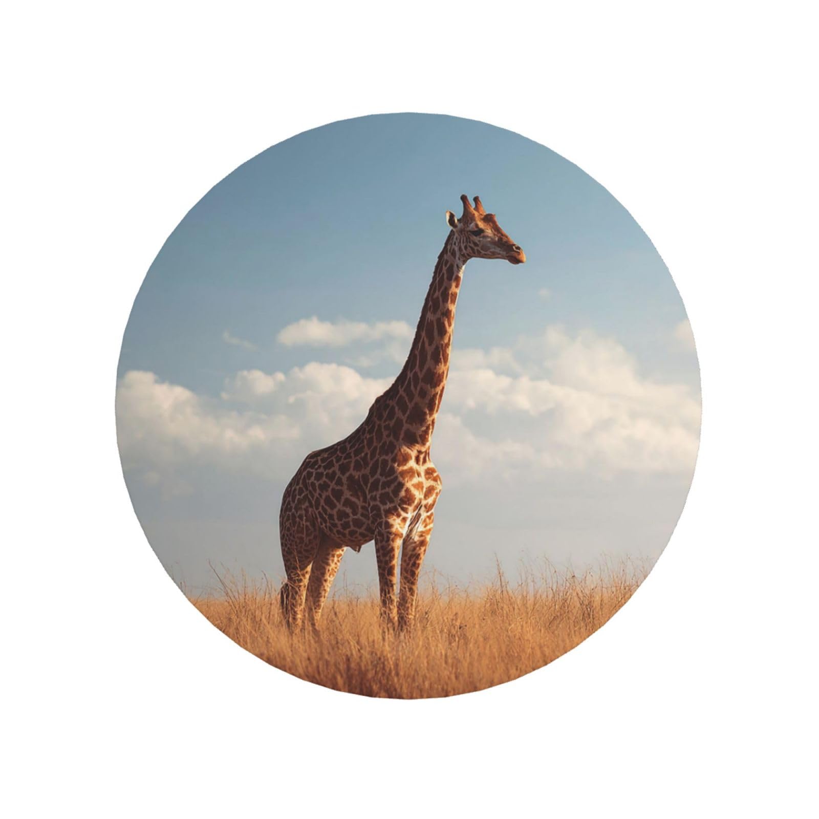 Fridge Magnets Waterproof Personalized Magnets for Fridge African Giraffe Refrigerator Magnets Home Decoration Magnetic Sticker for Locker Accessories Whiteboard Kitchen Office Decor