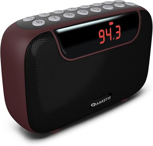 Amkette Pocket Blast 5 in 1 FM Radio with Bluetooth, Powerful Sound, Voice & FM Recording, External Antenna, 7+ Hours Playback, MP3 Player with…