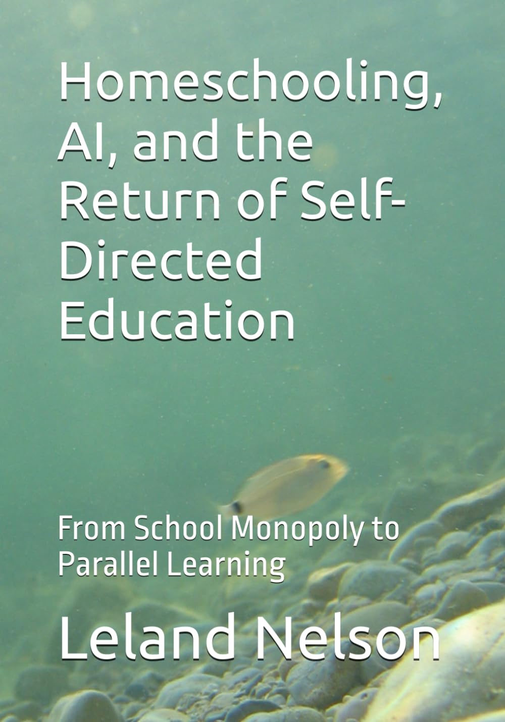 Homeschooling, AI, and the Return of Self-Directed Education: From School Monopoly to Parallel Learning