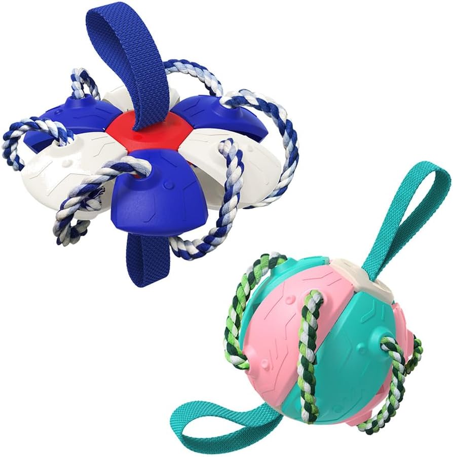 Dog Flying Ball Frisbee Toy 2-Pack, Interactive Outdoor Training Throw and Soccer Play Toy, Durable Plastic Pet Exercise Toy for Puppy Small Big Dogs, 5.73 Inches