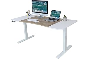 Dual Motor 63x30 Standing Desk Adjustable Height Electric Computer Desk