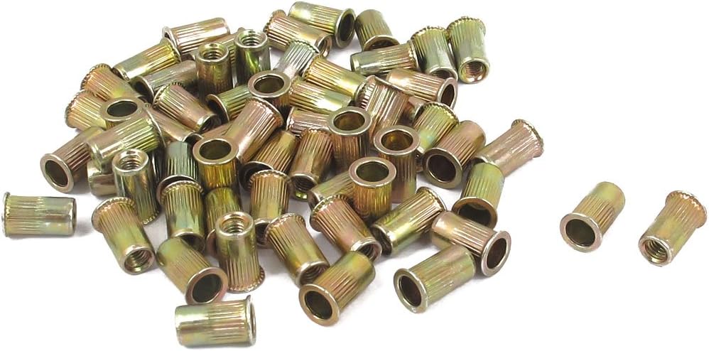 Rivets nut zinc plated 60 piezas rosca 3mm tono latón