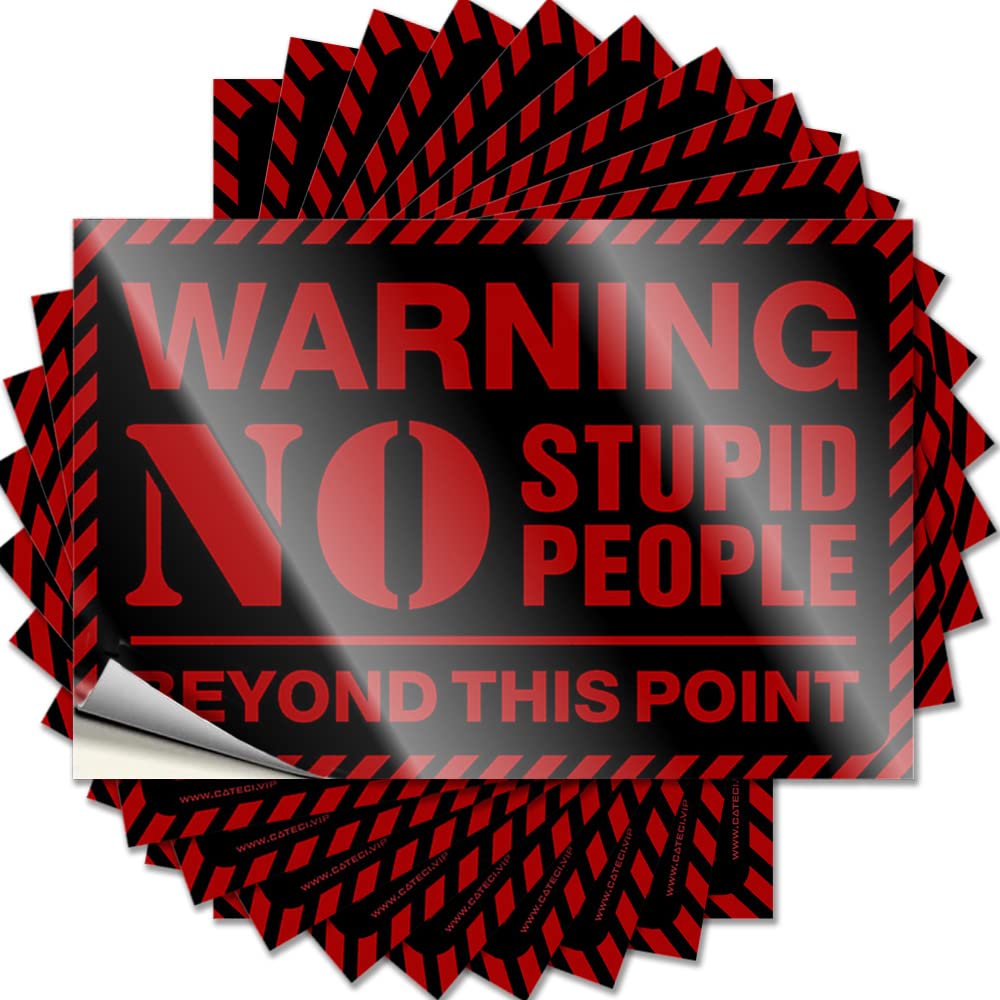 Car Decals Warning No Stupid People Beyond This Point Funny Sticker 10 Pcs Car Stickers for Men Funny Bumper Sticker(12X18CM)