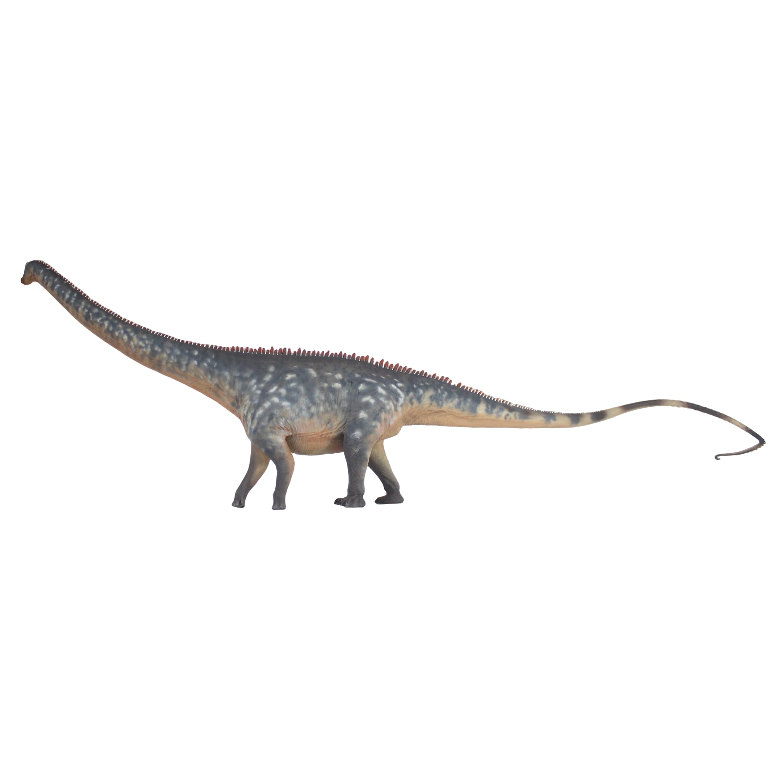 Diplodocus 1:35 Science and Art Model figurine dinosaure jurassique réplique scientifique Ma Lin