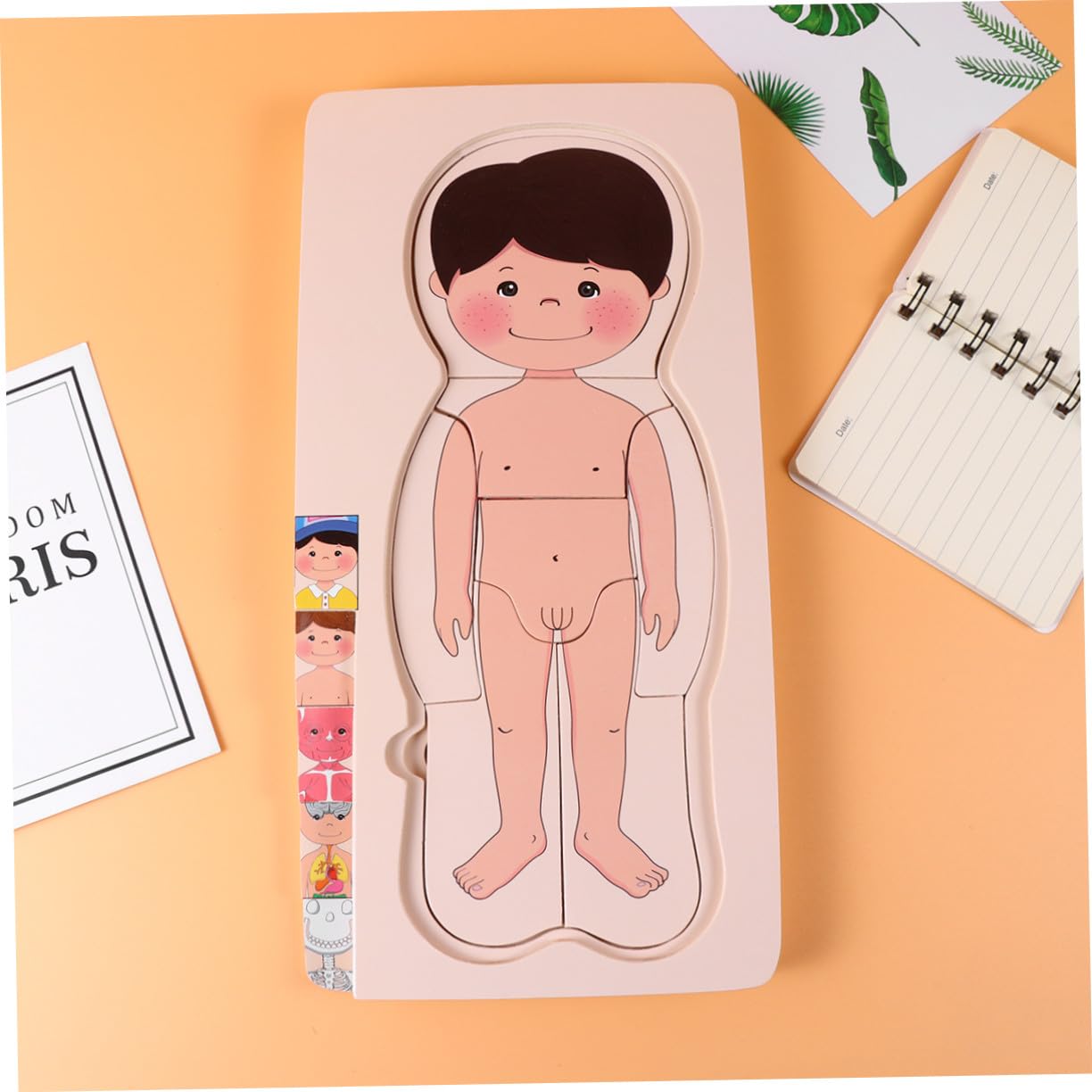 Puzzle in Legno Multistrato, Giocattolo Educativo per Bambini