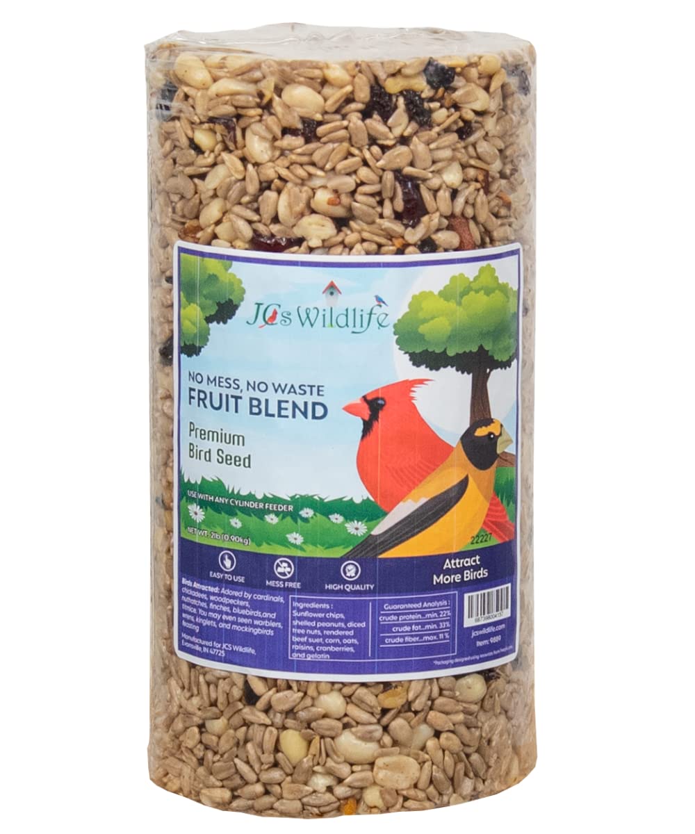 10 Best Cylinder Bird Seed for Optimal Feeding Results Hummingbirds Plus