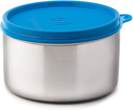 Signoraware Executive Big Stainless Steel Container, 500 ml/20mm, Blue