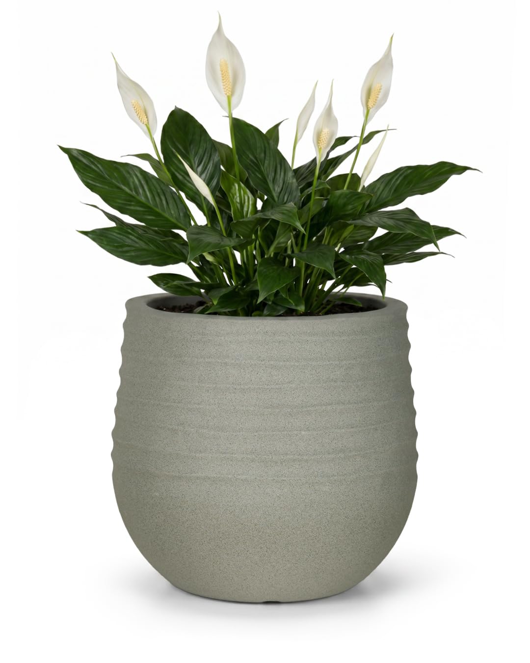Mazovia Vaso fiori, per terrazza, balcone e casa, fioriera da esterno, 40x40x37 cm TERRA M resina di alta qualità, resistente ai raggi UV e al gelo, impermeabile, Grigio, effetto cemento, 1 pz.