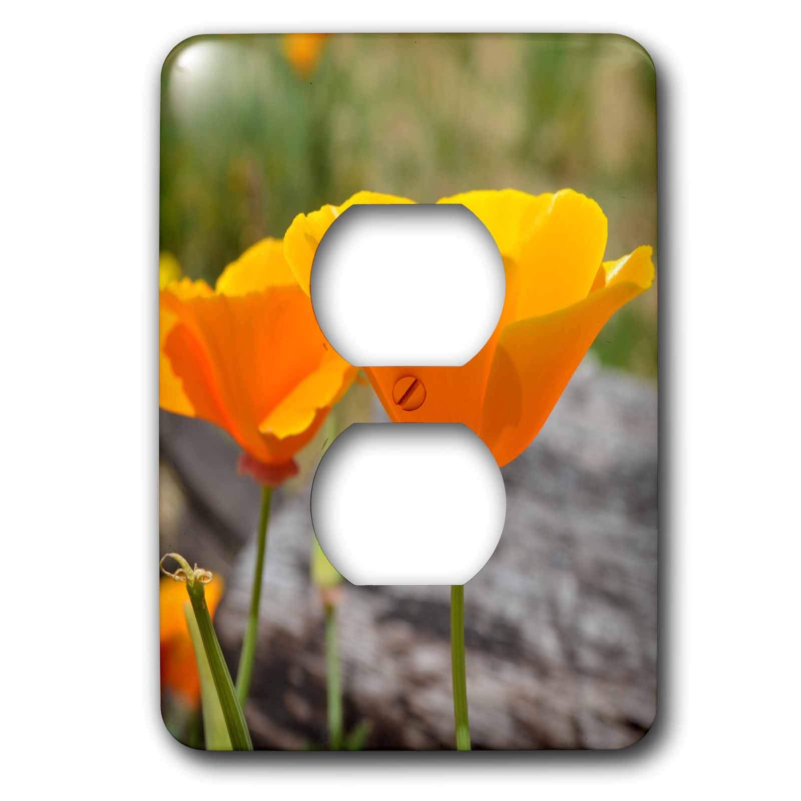 Coquelicots graphisme orange éclatant plaque 2 prises 3dRose lsp_22710_6