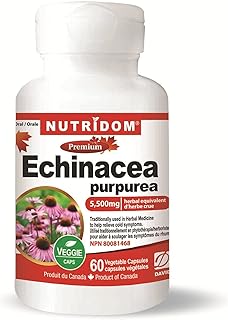 Nutridom Echinacea Purpurea Concentrate Extract | 5,500 mg | Non-GMO, Vegan, Free of Gluten, Soy & Dairy Free, Vegetable Capsules (60 Count)