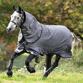 Amigo Bravo 12 Reflectech Plus Turnout Blanket (100g Medium-Lite, 0g Hood), Size: 75, Color: Reflective Black (Grey Trim)