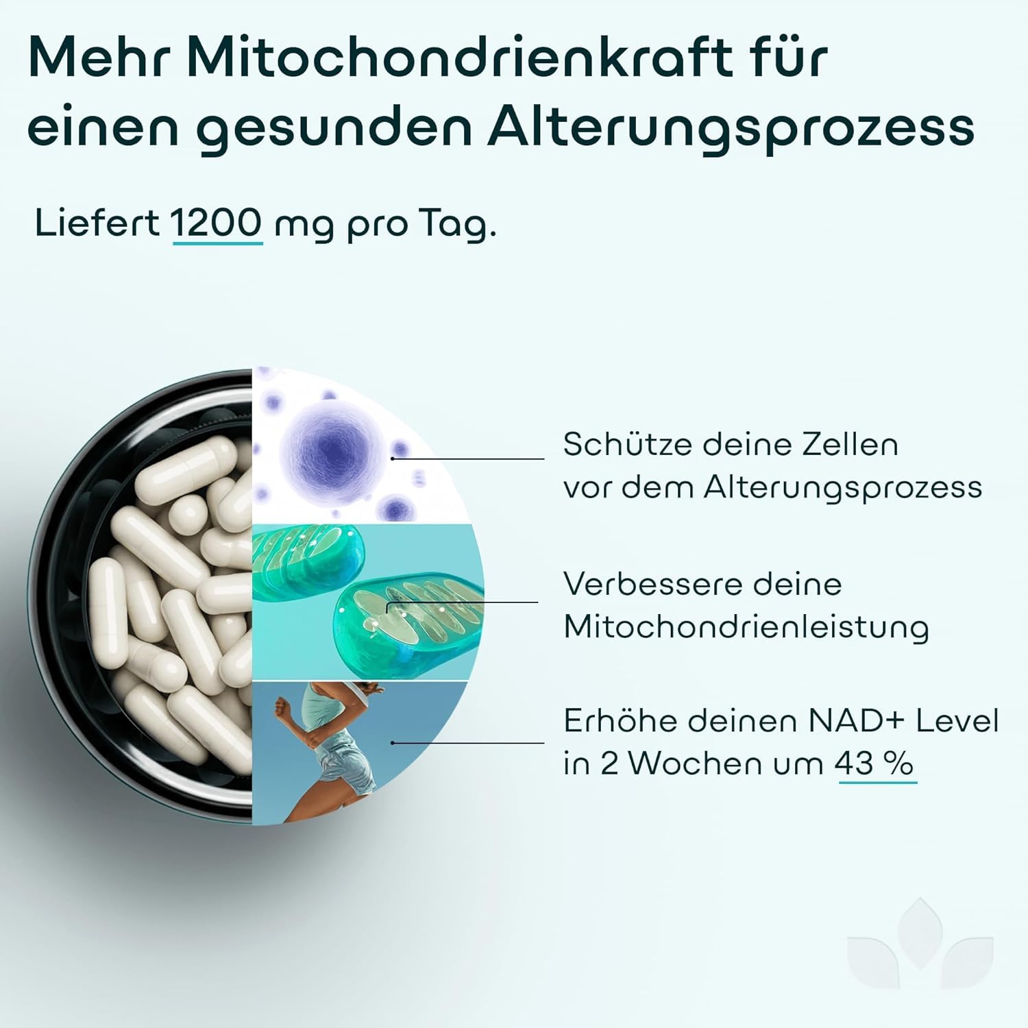 Green Lab NAD+ Komplex 1200 mg – Extra Starkes Liposomal NMN-Alternative Supplement mit Resveratrol, CoQ10, Alpha-Liponsäure, Astaxanthin – Für Frauen & Männer – Energie, Zellschutz & Anti-Aging
