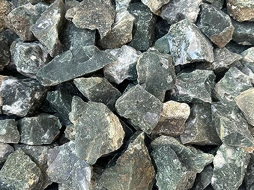 GAF TREASURES Wholesale Raw Tree Agate Crystals, Natural Tree Agate, Natural Rough Tree Agate Crystals, Tree Agate Healing Crystals (Tree Agate, 0.25 Pound)