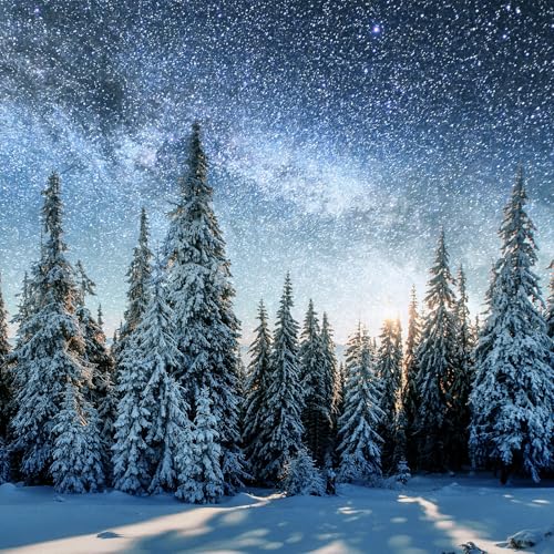 Couverture de Deep Rest ~ Winter Solstice Music & Sound Healing