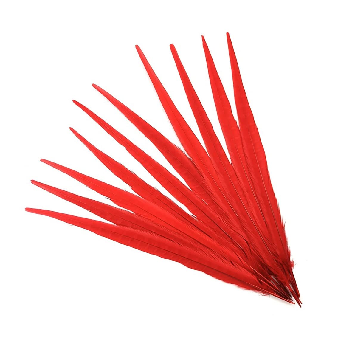 Plumas de faisán para tocados de novia y decoración de bodas