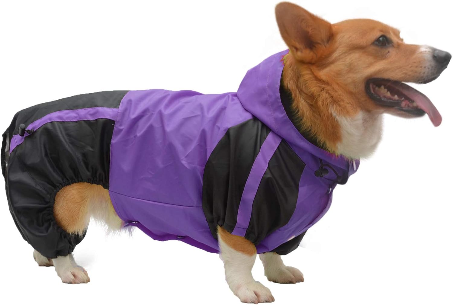 Lovelonglong Welsh Dog Hooded Raincoat, Dachshund