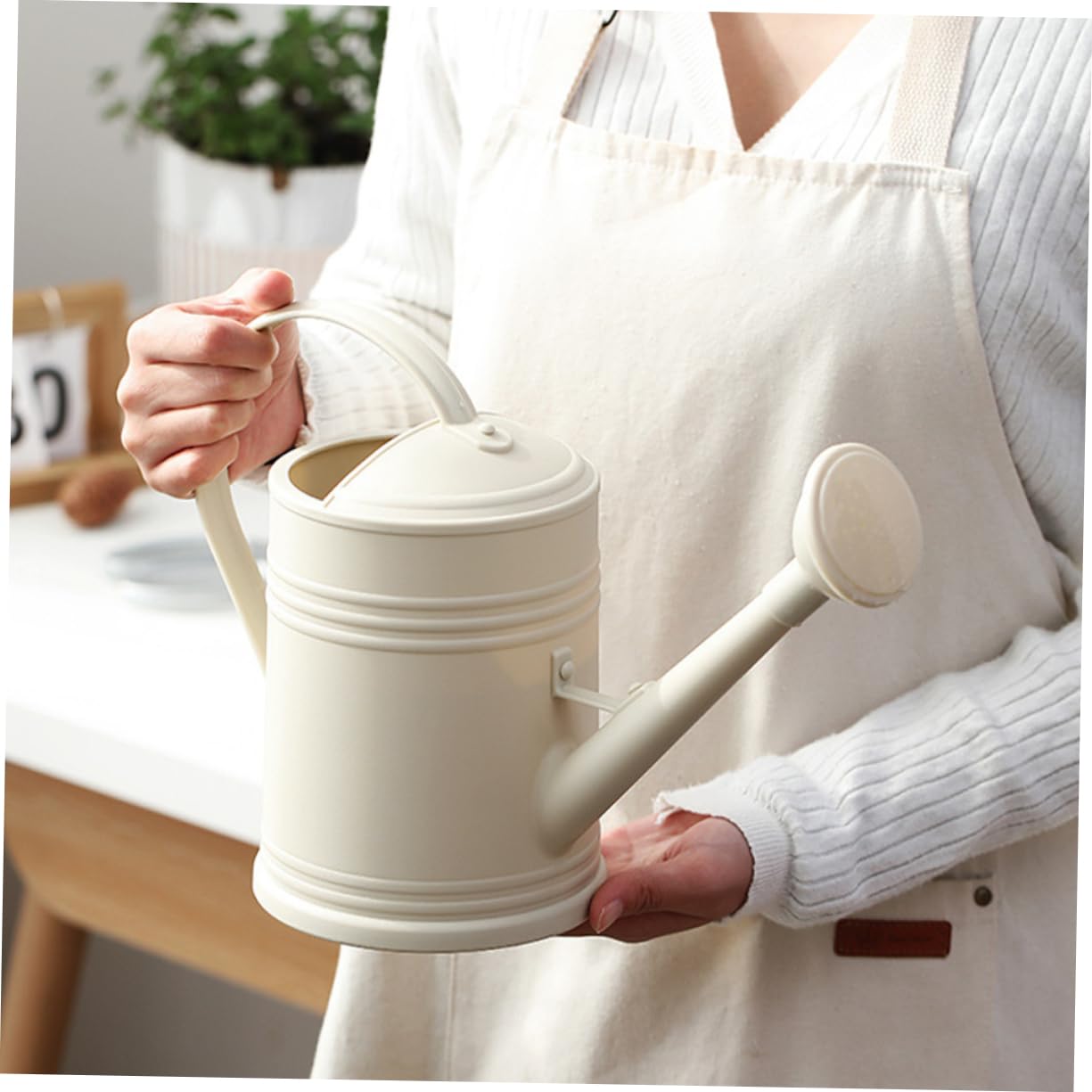 Annaffiatoio da Giardino 2000ml in Pp Beige, lungo Beccuccio